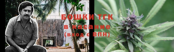 стаф Белокуриха