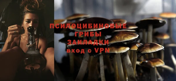 стаф Белоозёрский