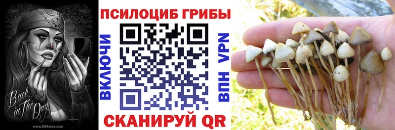 Купить  Комсомольск  Галлюциногенные грибы Magic Shrooms 